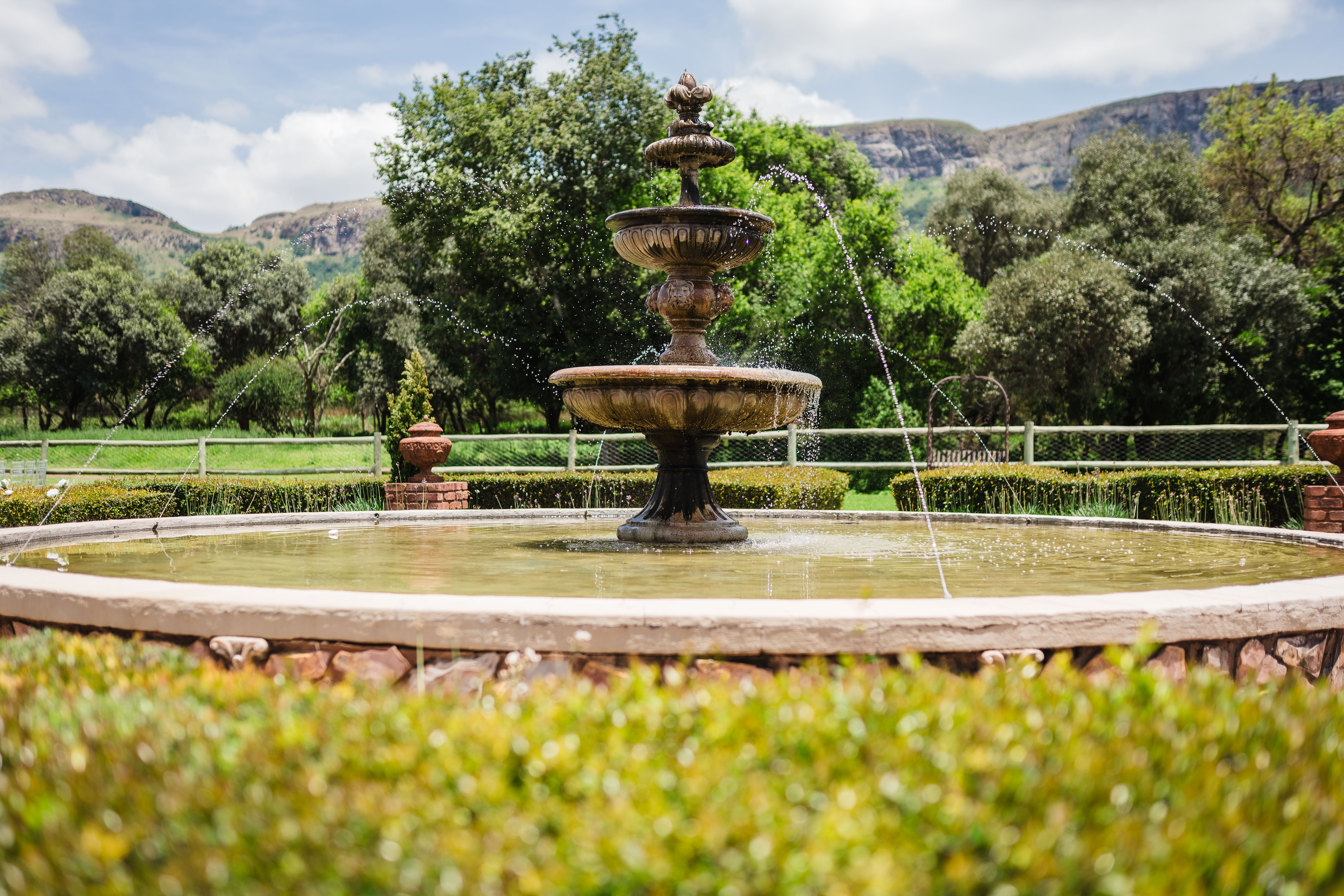 janita-mikal-wedding-green-leaves-magaliesberg-7
